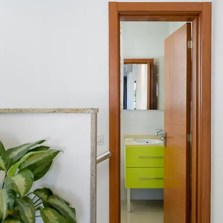 Timple * פוארטו דל כרמן